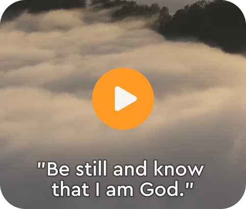 Slow, calming videos to help you unwind